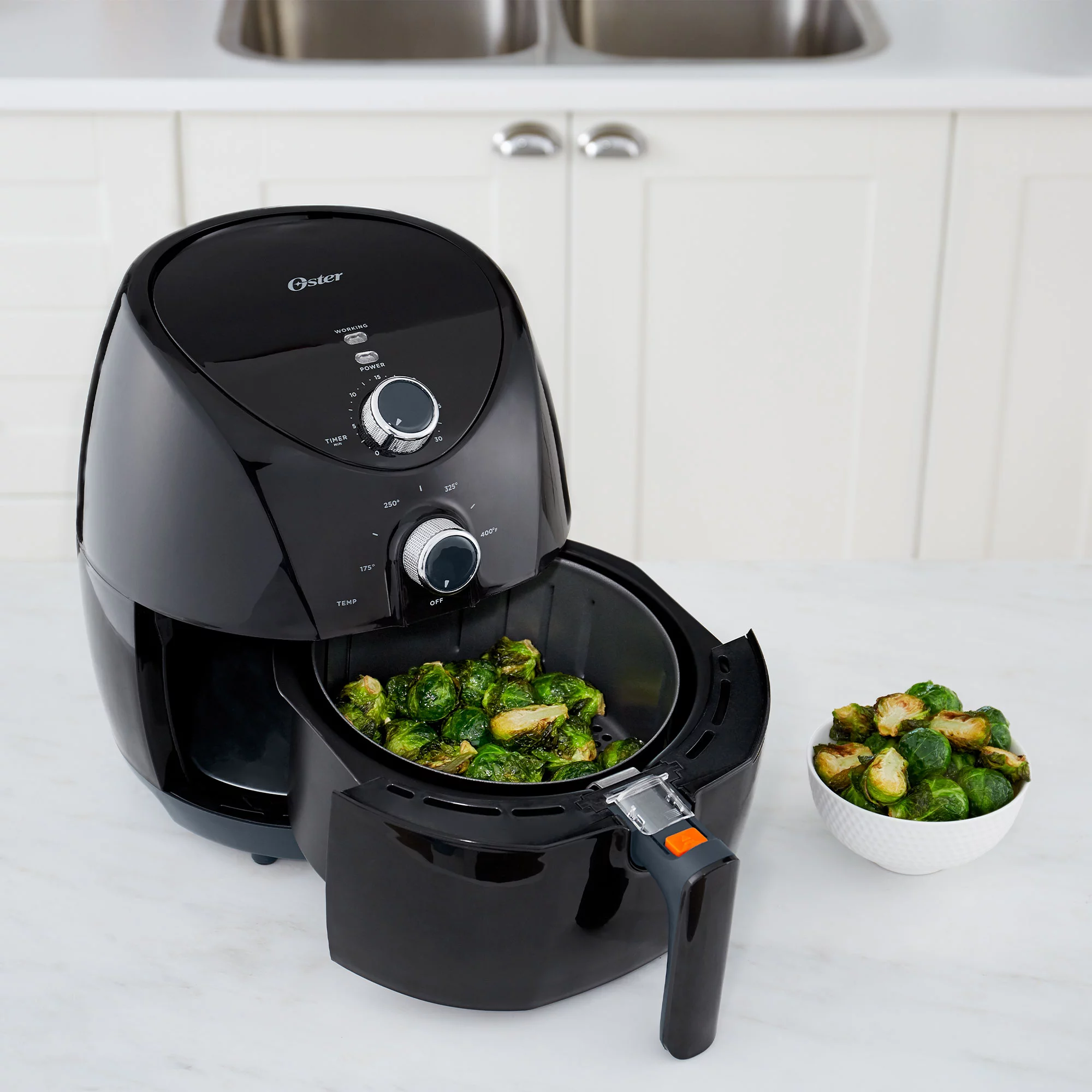 is-the-oster-air-fryer-a-good-buy