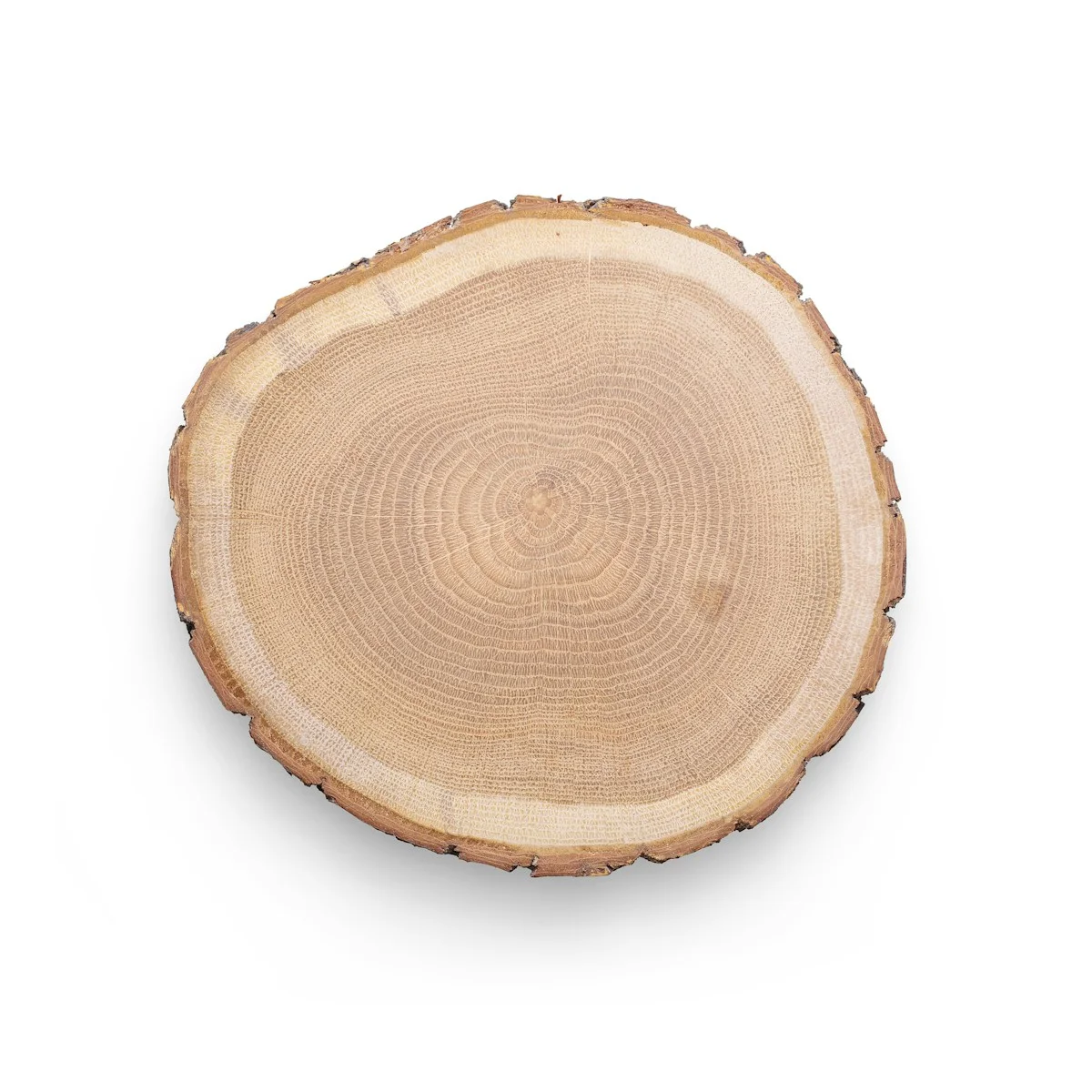 Can You Put Wood in an Air Fryer?