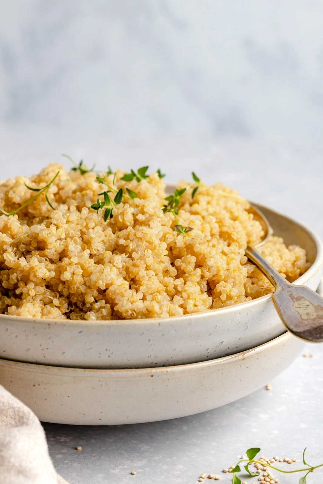 how-to-cook-quinoa-in-a-rice-cooker