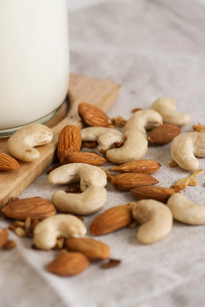 the-best-blender-for-making-nut-milk-our-top-5-picks