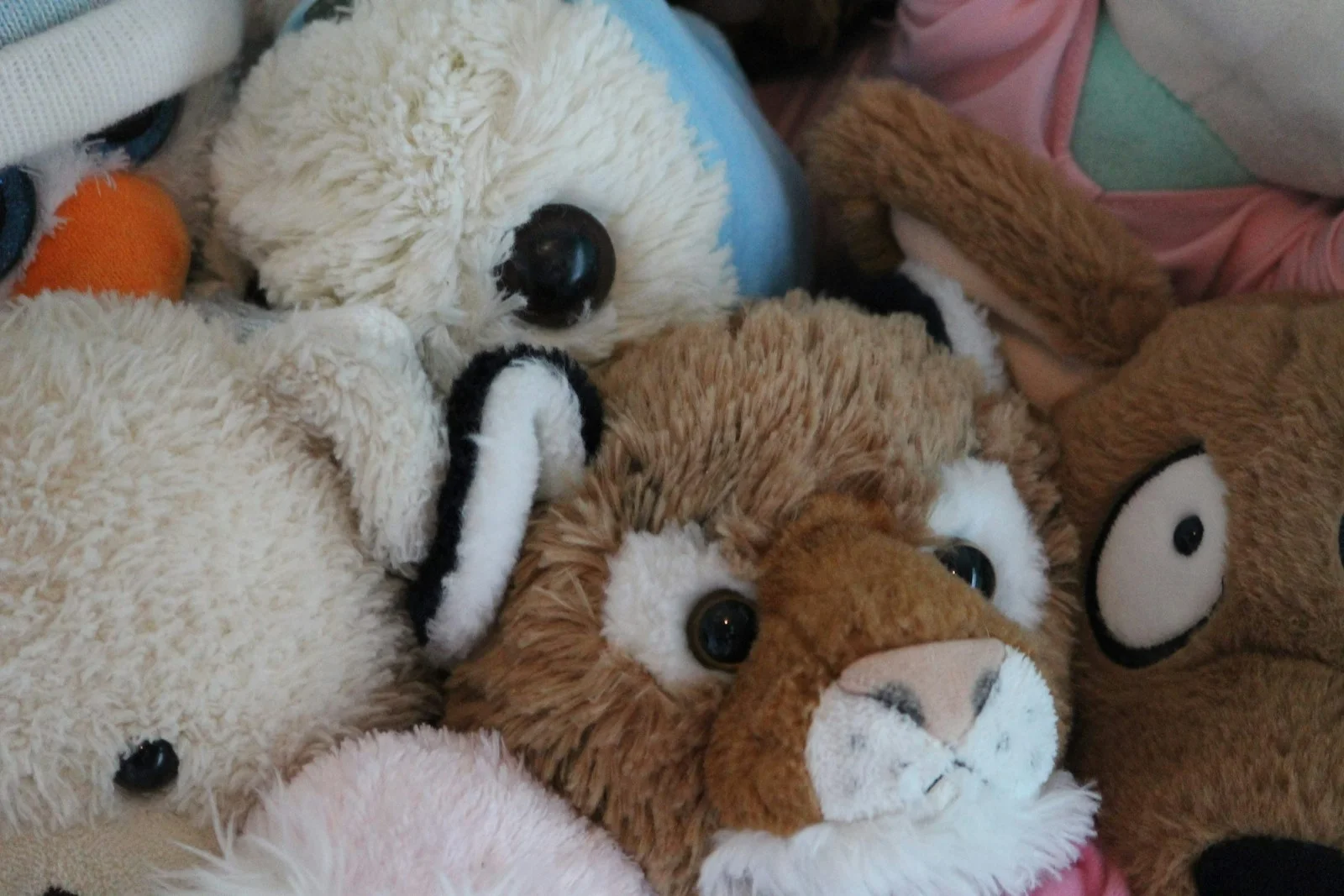 are-microwavable-stuffed-animals-actually-safe-must-read