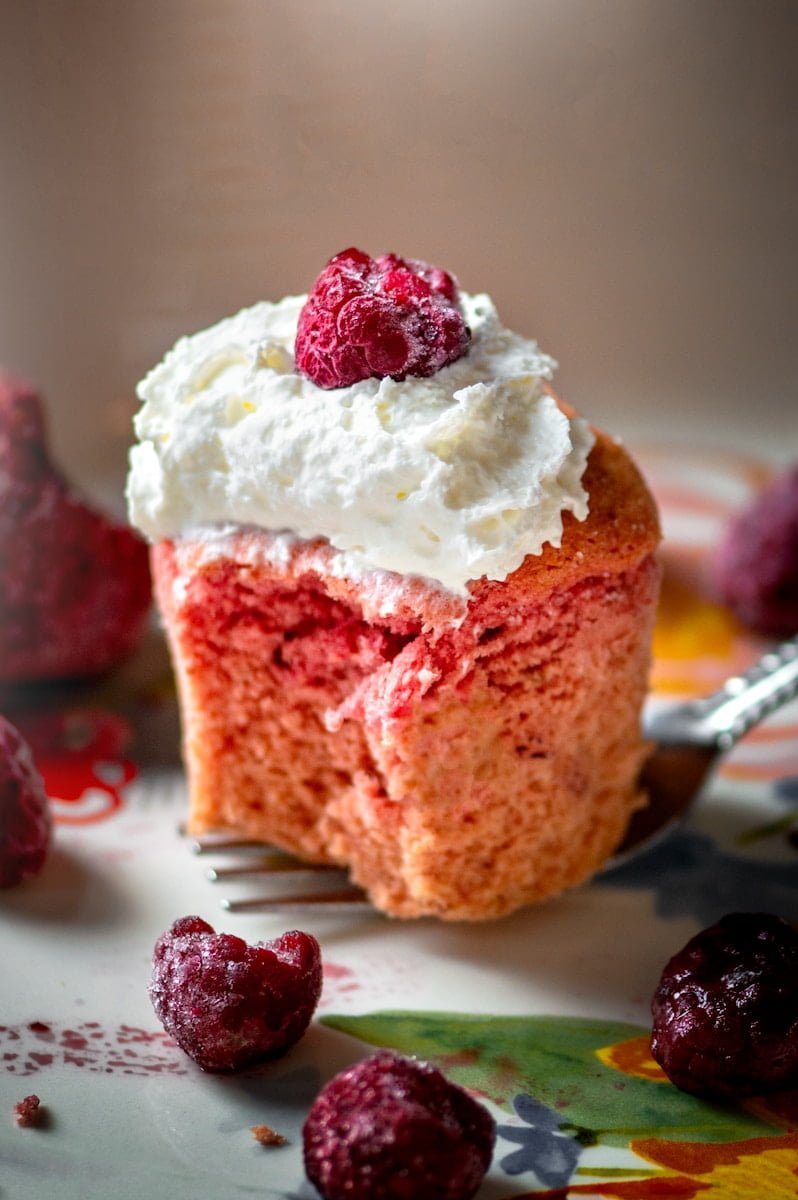 how-to-use-a-ninja-blender-to-whip-cream-space-saver