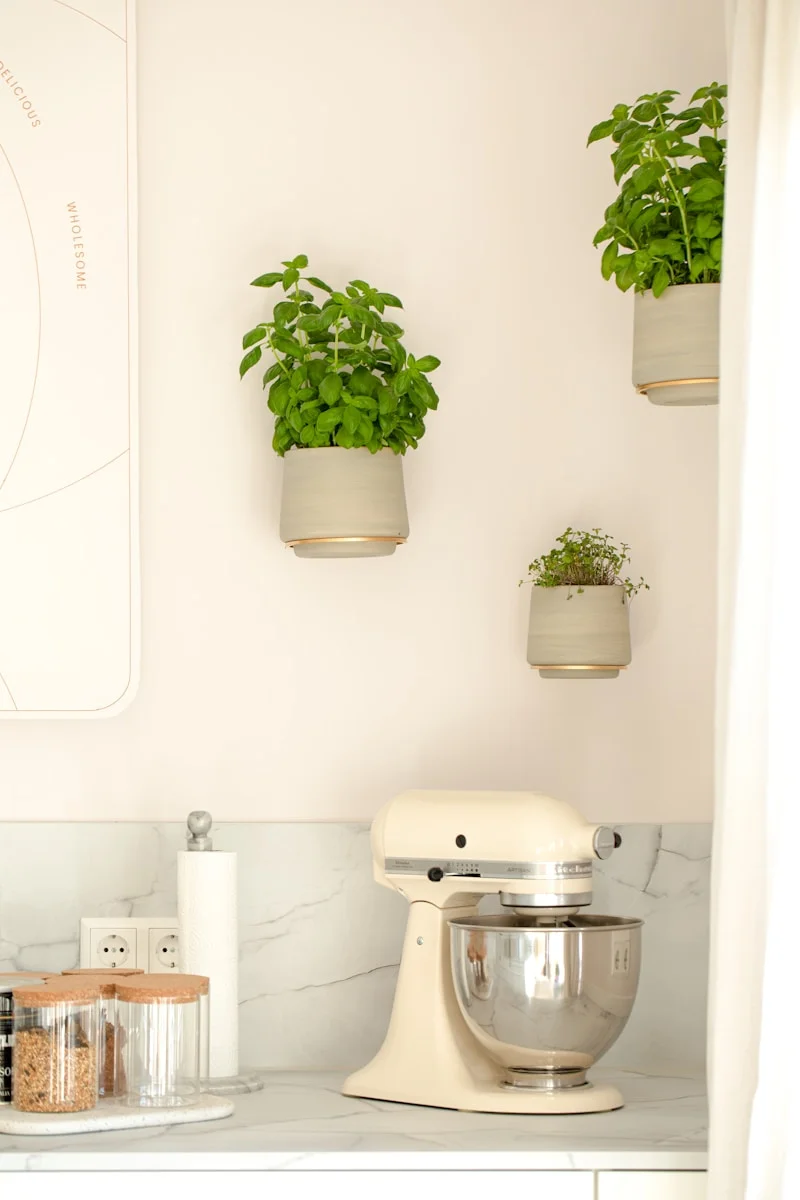 blenders-v-mixers-which-one-should-you-use-and-when