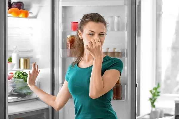 eliminate-fishy-smells-from-your-freezer-effective-methods