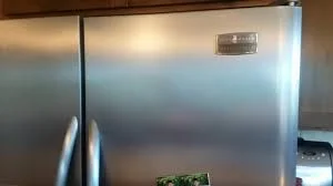 turning-off-annoying-buzzer-on-your-frigidaire-freezer