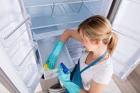 how-to-clean-a-bug-infested-refrigerator