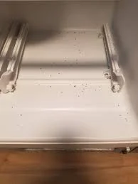 how-do-gnats-get-in-the-refrigerator